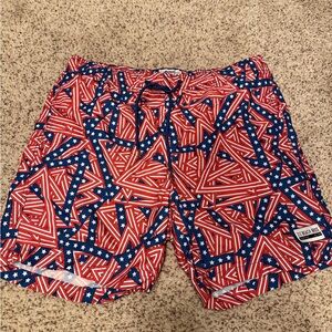 Beach Bros Patriotic Geometric Swim Trunks
